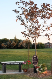 Ankit's Memorial
